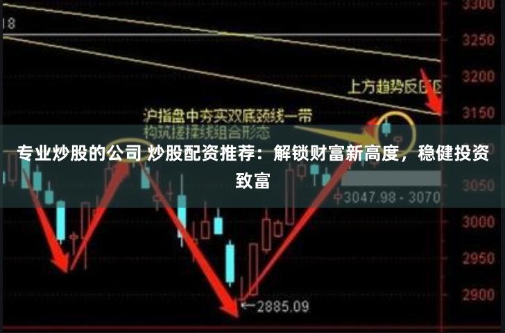 专业炒股的公司 炒股配资推荐：解锁财富新高度，稳健投资致富