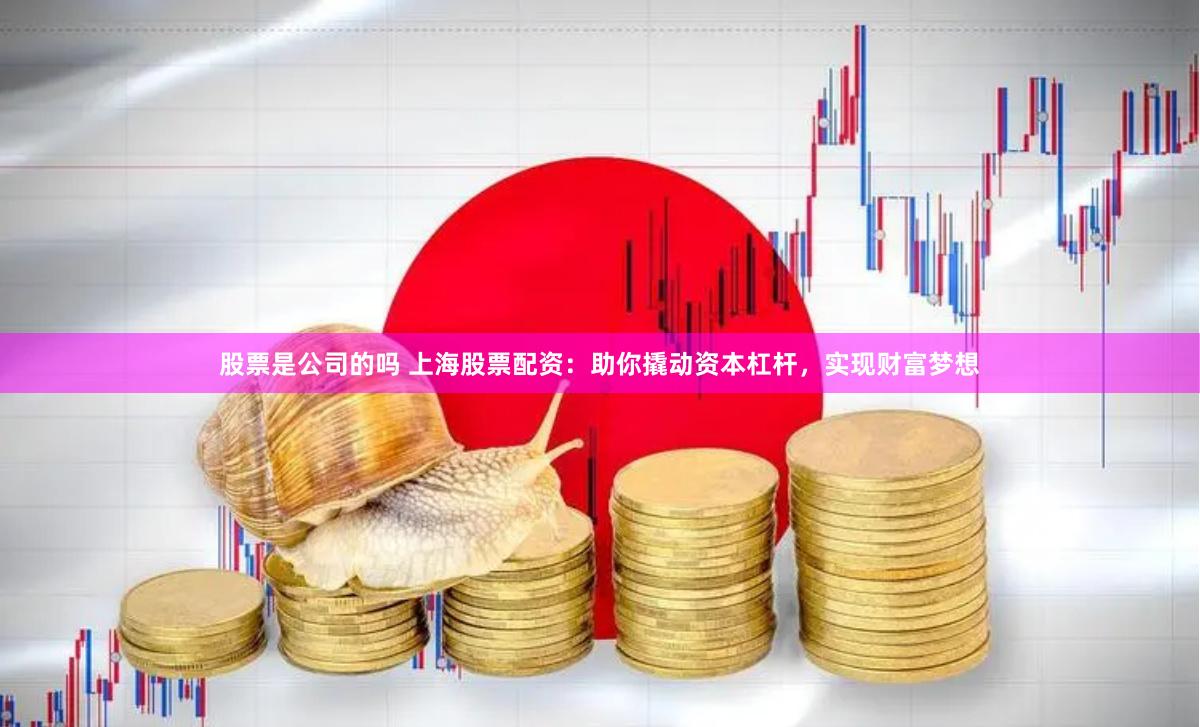股票是公司的吗 上海股票配资：助你撬动资本杠杆，实现财富梦想
