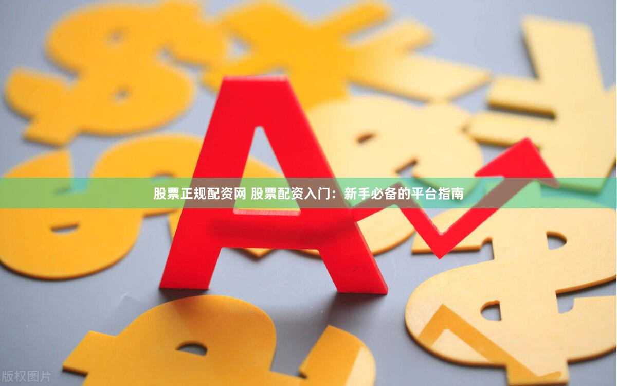 股票正规配资网 股票配资入门：新手必备的平台指南
