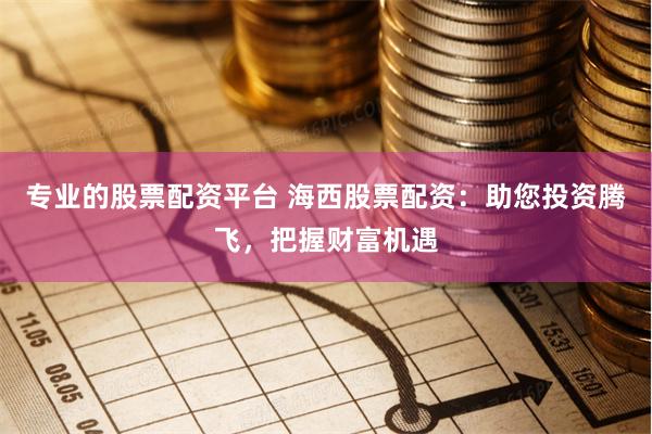 专业的股票配资平台 海西股票配资：助您投资腾飞，把握财富机遇
