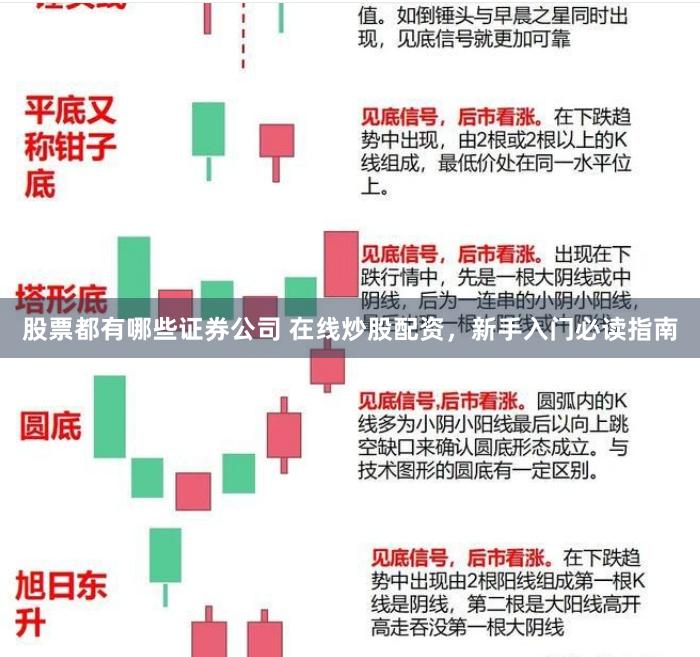 股票都有哪些证券公司 在线炒股配资，新手入门必读指南