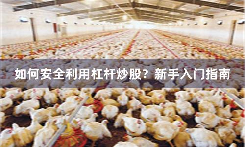 如何安全利用杠杆炒股？新手入门指南